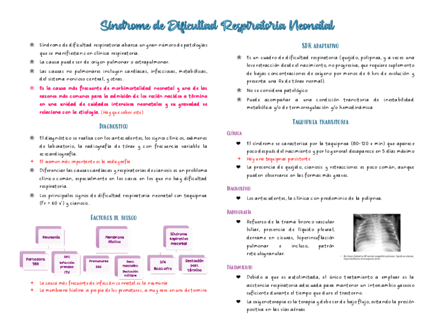 Miniatura del documento Sindrome-de-Dificultad-Respiratoria-Neonatal.pdf