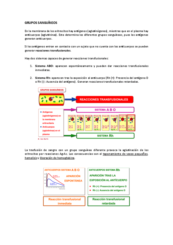 Miniatura del documento Grupos-sanguineos-y-alteraciones.pdf