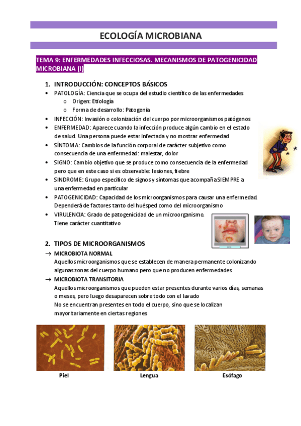 Miniatura del documento ECOLOGIA-MICROBIANA.pdf