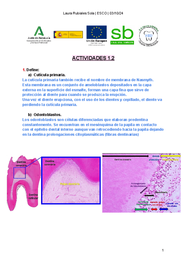 Miniatura del documento EJERCICIOS-RESUELTOS-SOBRE-LA-ODONTOGENESIS.pdf