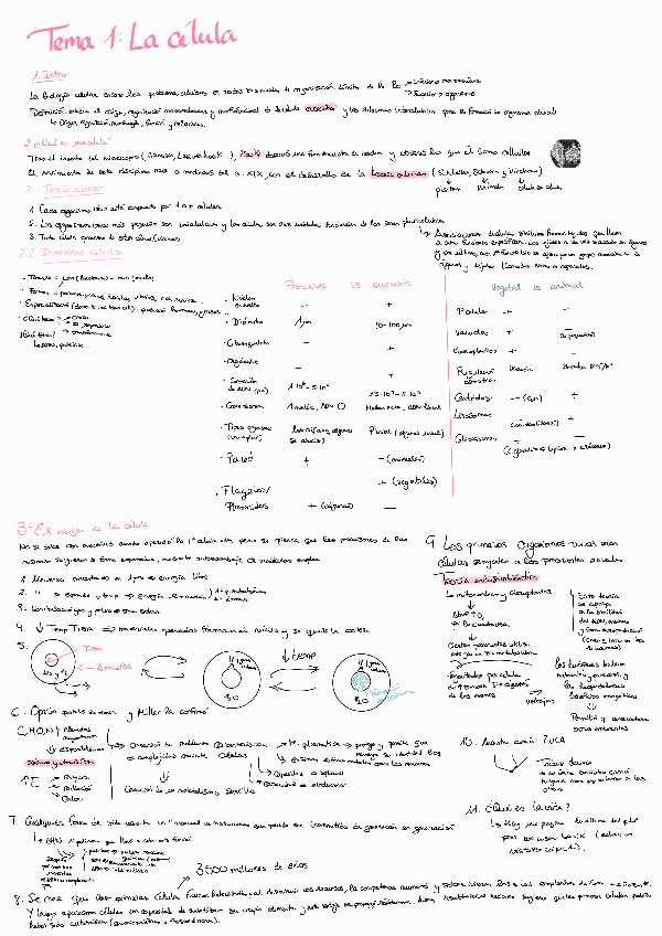 Miniatura del documento Tema-1.pdf