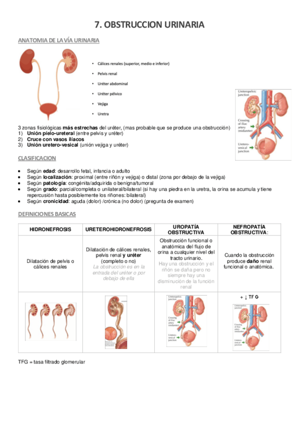 Miniatura del documento 7.-obstruccion-urinaria.pdf