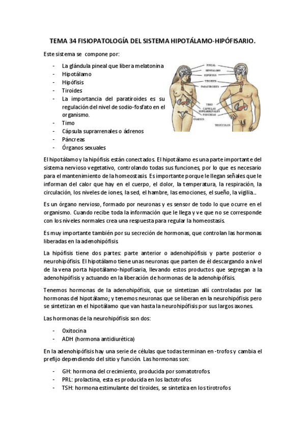 Miniatura del documento tema 34 .pdf
