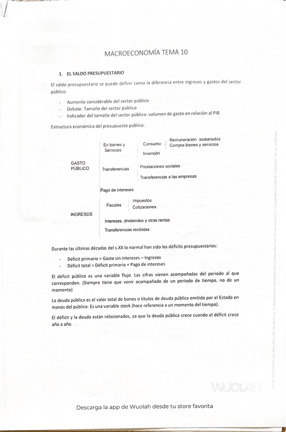 Miniatura del documento Tema-10-y-11.pdf