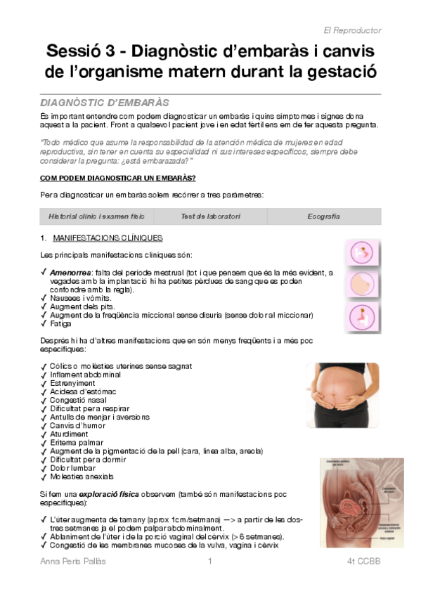 Miniatura del documento SESSIO-3-EL-REPRODUCTOR.pdf