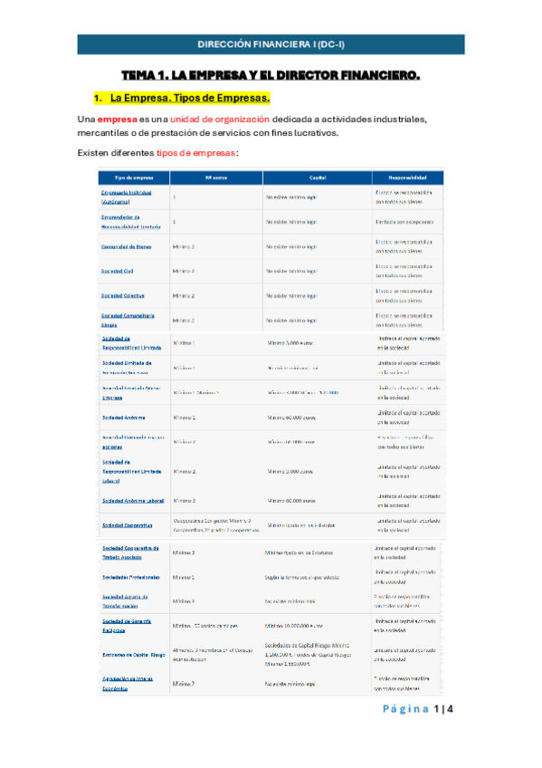 Miniatura del documento TEMA-1.-LA-EMPRESA-Y-EL-DIRECTOR-FINANCIERO.pdf