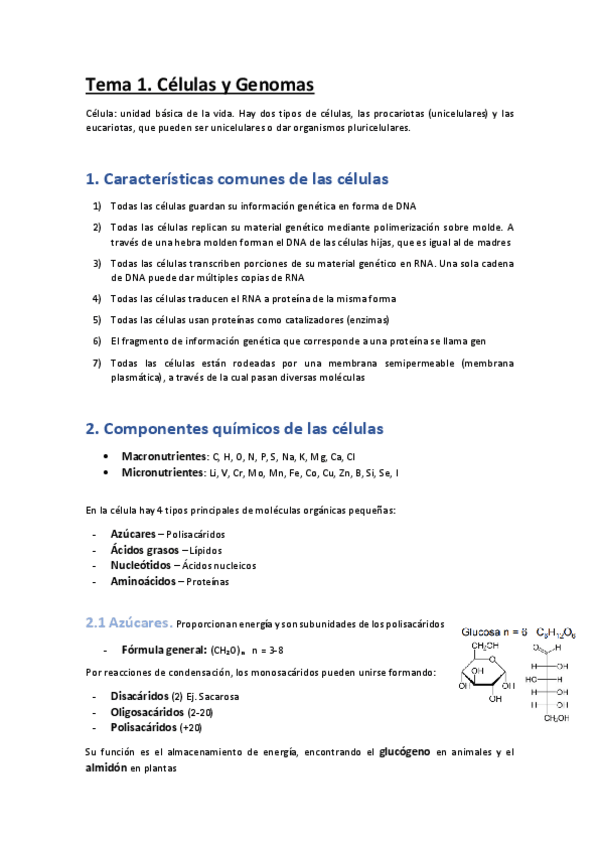 Miniatura del documento Biologia-Molecular-2425-TODO.pdf