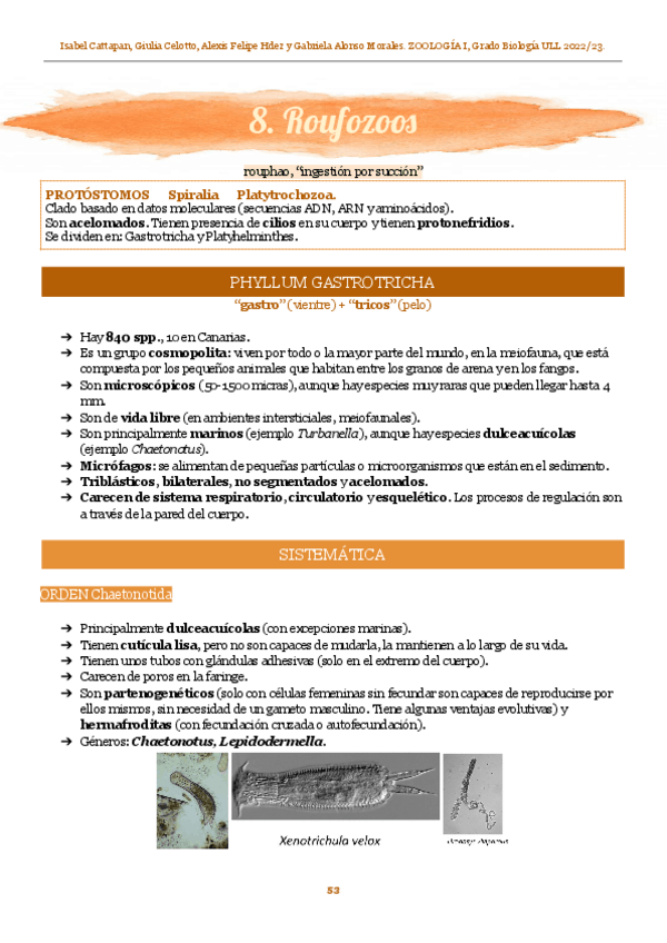 Miniatura del documento ZOO-I-8.pdf