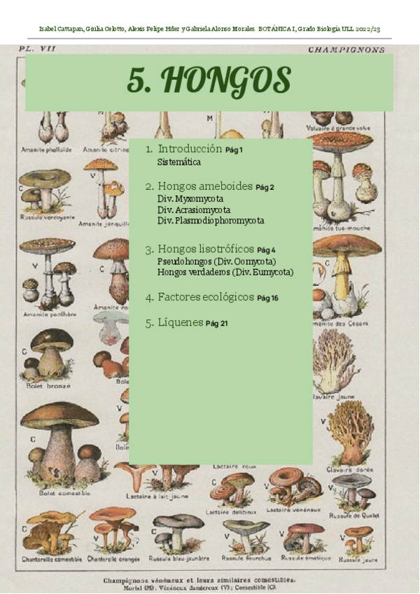 Miniatura del documento BOT-I-5.pdf