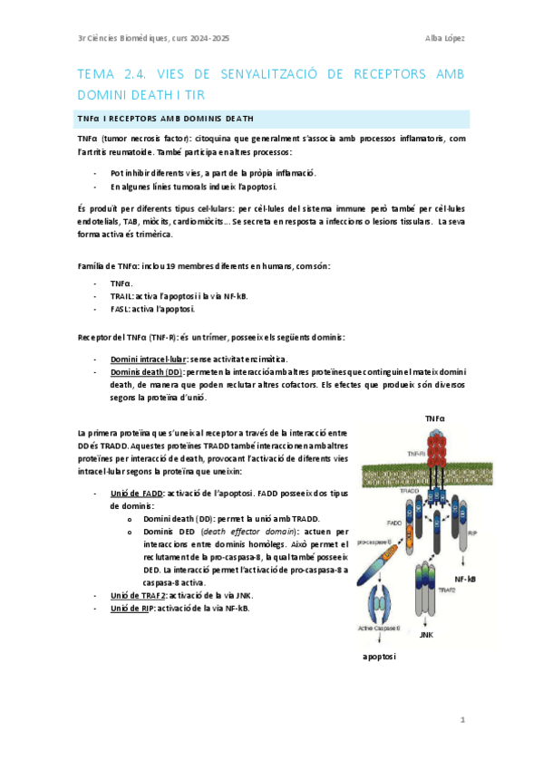 Miniatura del documento Tema-2.4.-Vies-de-senyalitacio-de-receptors-amb-domini-death-i-TIR.pdf