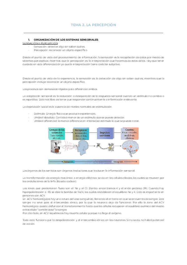 Miniatura del documento Tema-2.-La-percepcion.pdf