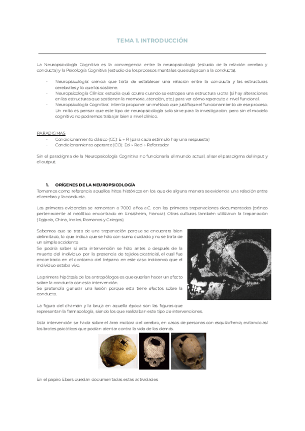 Miniatura del documento Tema-1.-Introduccion.pdf