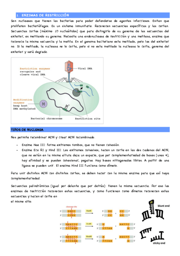 Miniatura del documento seminario-2.-Tecnicas-BM.pdf