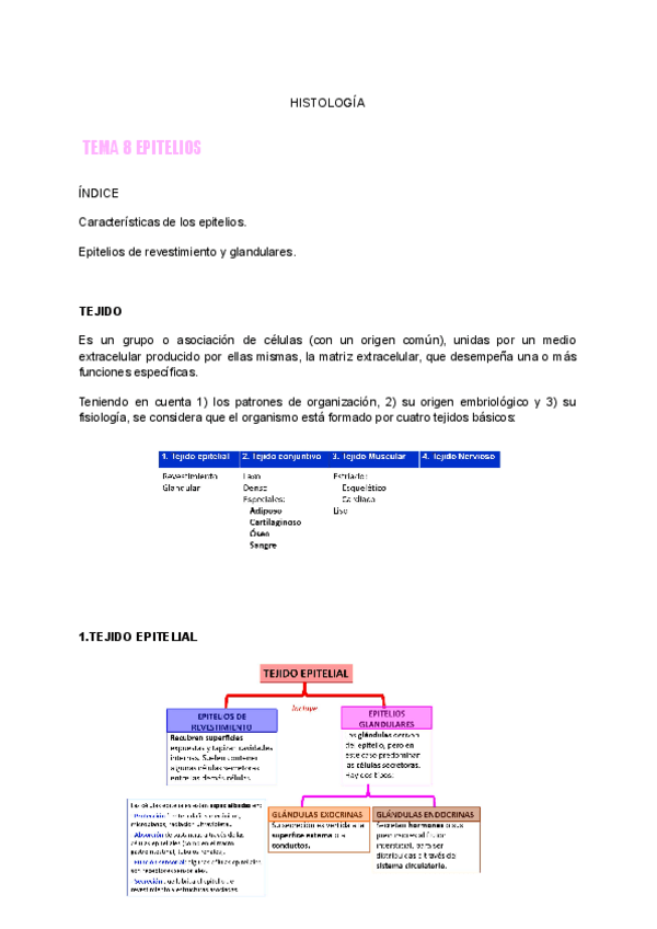 Miniatura del documento Tema-8-HISTOLOGIA..pdf