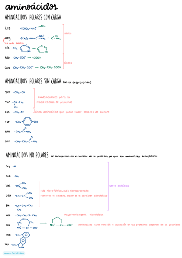 Miniatura del documento aminoacidos.pdf