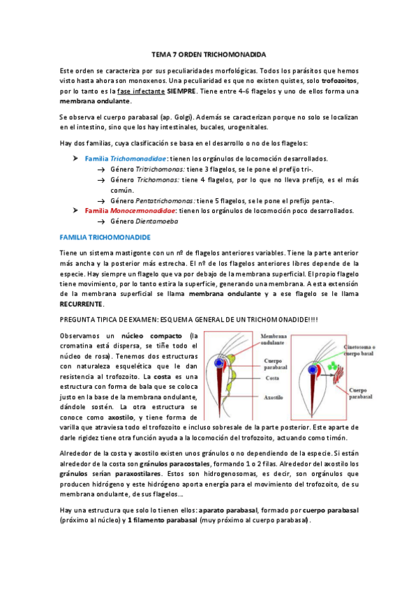 Miniatura del documento TEMA 7.pdf