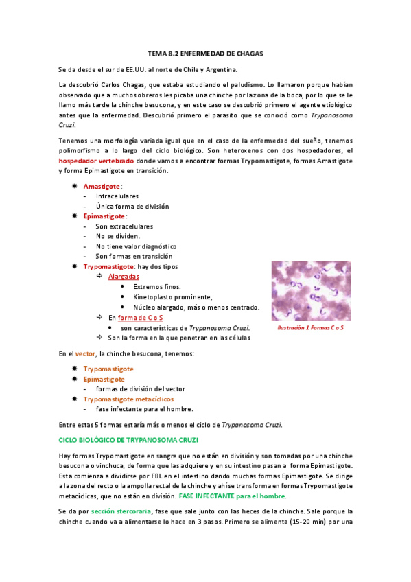 Miniatura del documento tema 8.2 Chagas.pdf