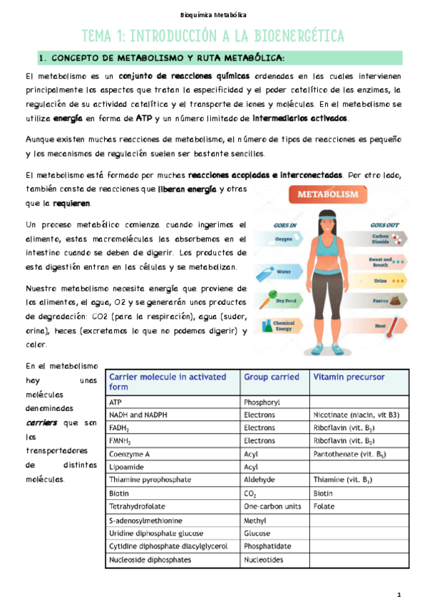 Miniatura del documento T1-Introduccion-a-la-bioenergetica.pdf