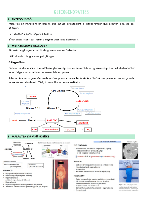 Miniatura del documento S3-Glicogenopaties.pdf