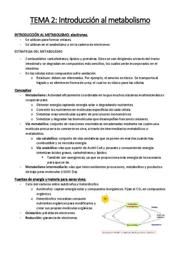 Miniatura del documento tema 2 introduccion al metabolismo.pdf