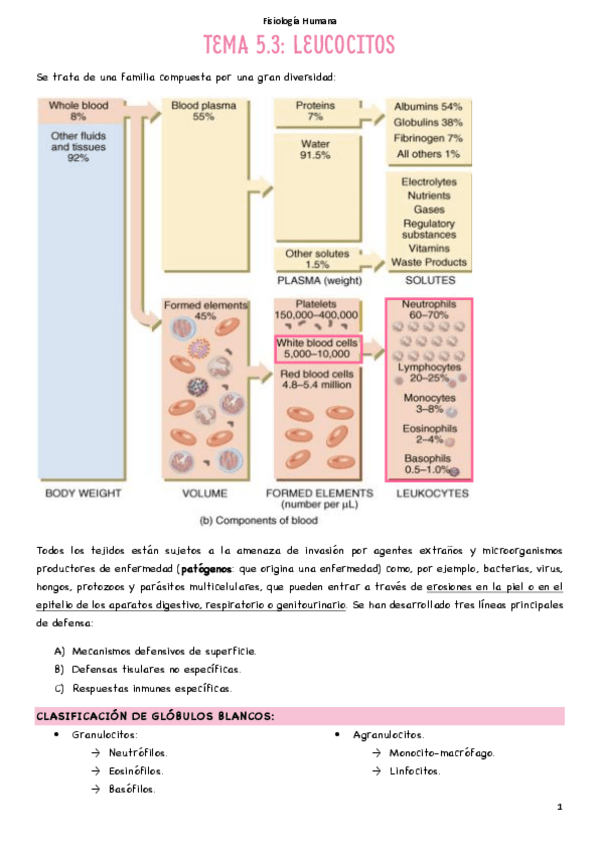 Miniatura del documento T5.3-Leucocitos.pdf