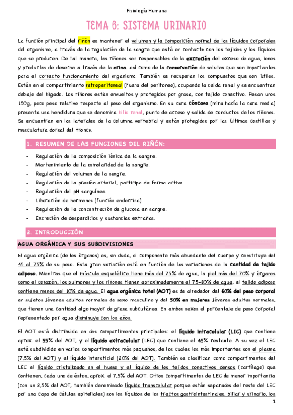 Miniatura del documento T6-Sistema-urinario.pdf