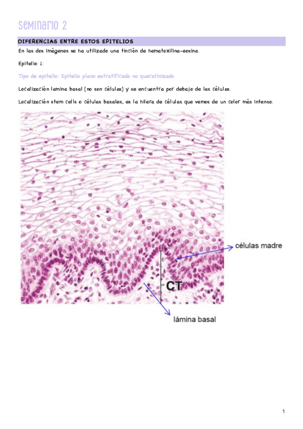 Miniatura del documento seminario-2.pdf