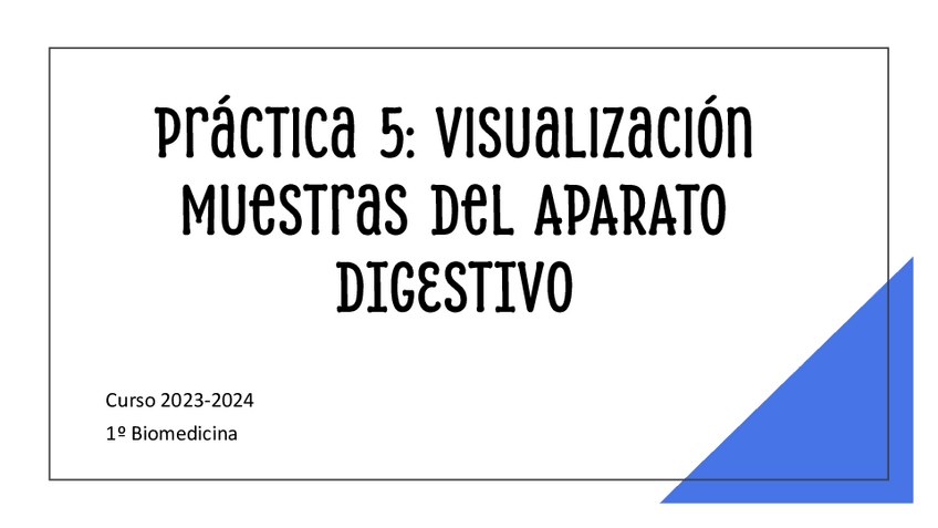 Miniatura del documento Practica-5.pdf