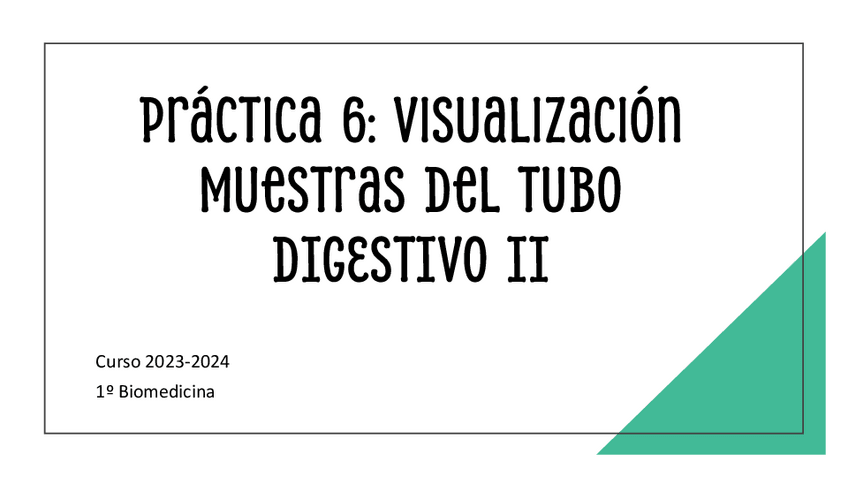 Miniatura del documento Practica-6.pdf
