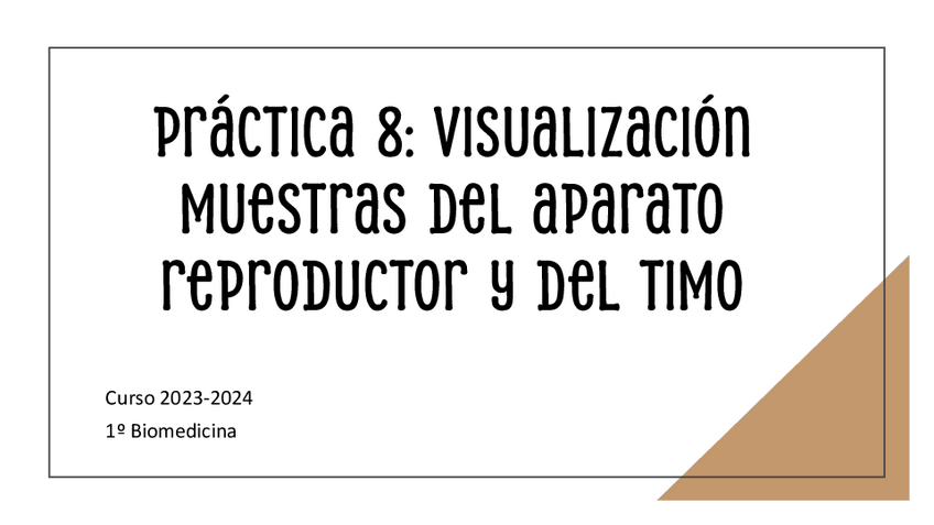 Miniatura del documento Practica-8.pdf