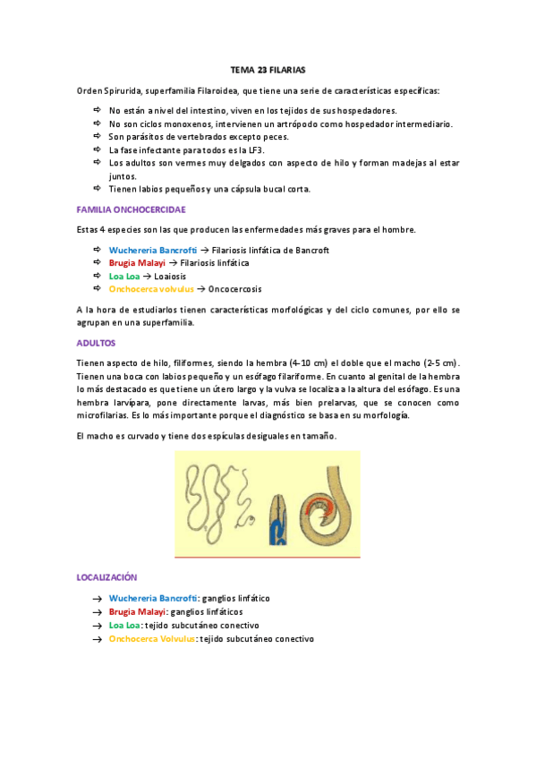 Miniatura del documento tema 23 filarias.pdf