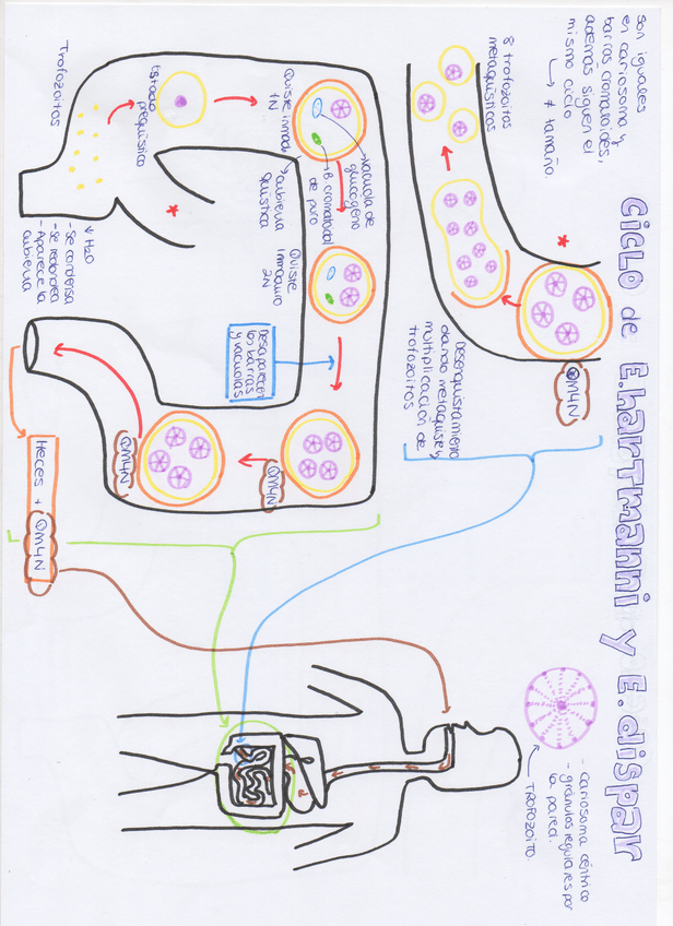 Miniatura del documento img357.jpg