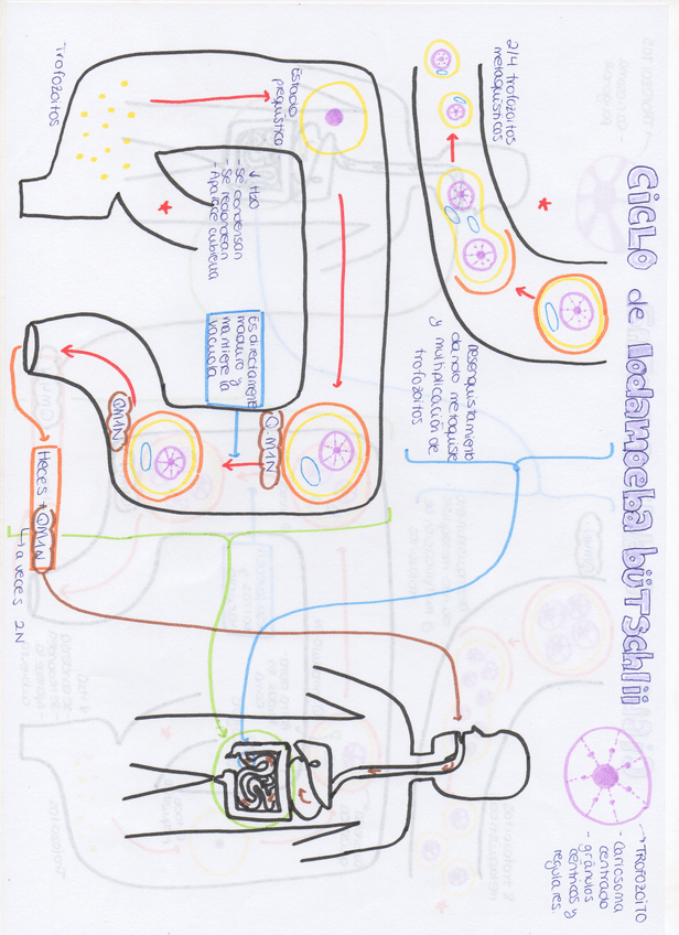 Miniatura del documento img360.jpg