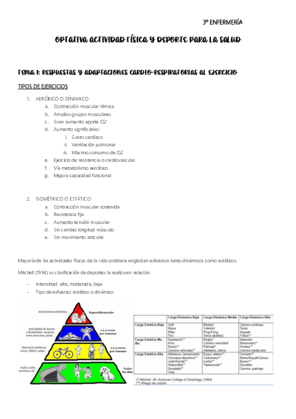 Miniatura del documento OPTATIVA-ACTIVIDAD-FISICA-Y-DEPORTE-PARA-LA-SALUD.pdf