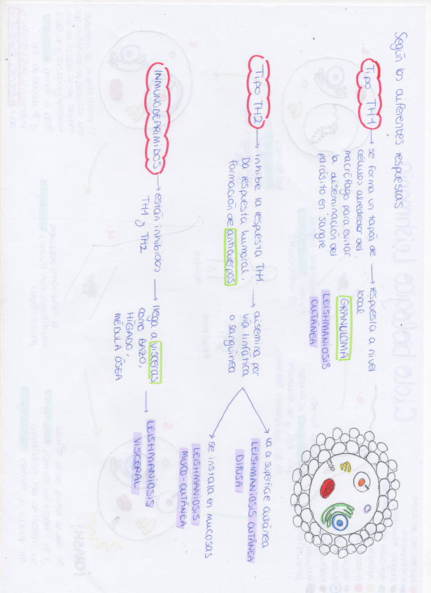 Miniatura del documento img364.jpg