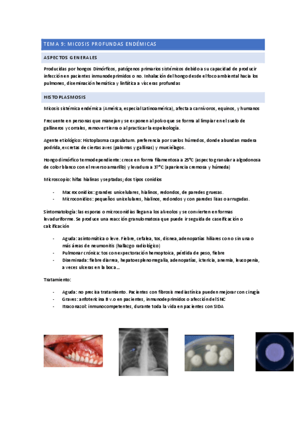 Miniatura del documento TEMA-9.pdf