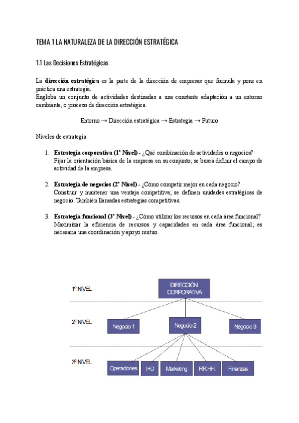Miniatura del documento Direccion-Estrategica-Tema-1.pdf