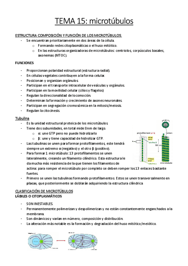 Miniatura del documento TEMA 15apuntes.pdf