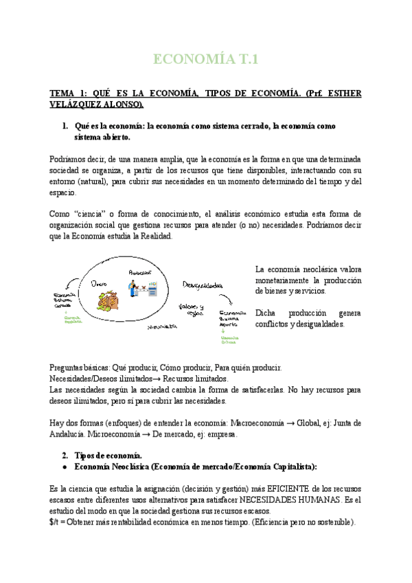 Miniatura del documento ECONOMIA-T.1.pdf