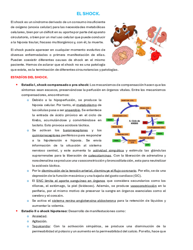 Miniatura del documento ApuntesEMQ4shock.pdf