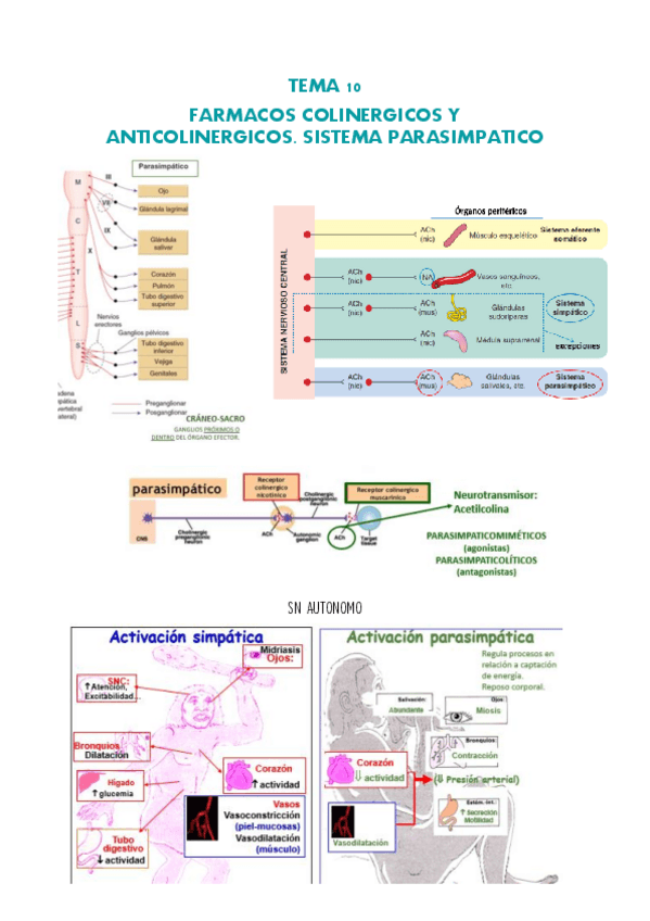 Miniatura del documento TEMA-10-pdf.pdf