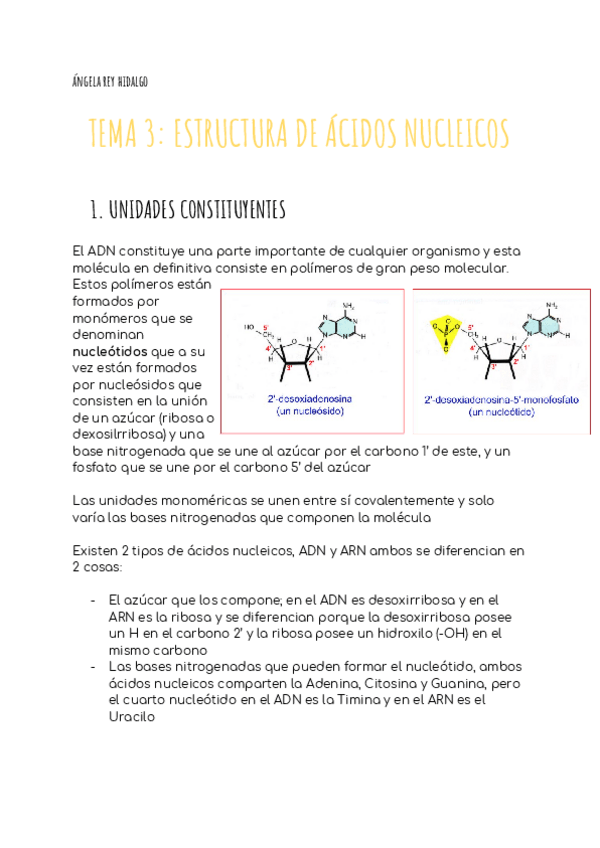 Miniatura del documento TEMA 3. ESTRUCTURA DE LOS ÁCIDOS NUCLEICOS.pdf