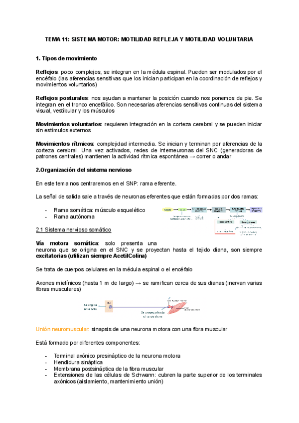 Miniatura del documento tema-11.pdf