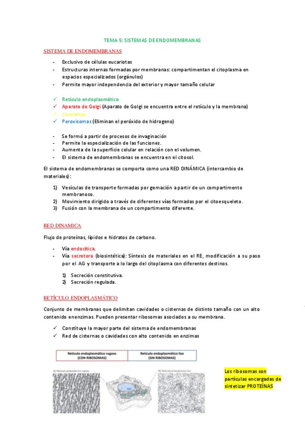 Miniatura del documento TEMA-5-celular.pdf