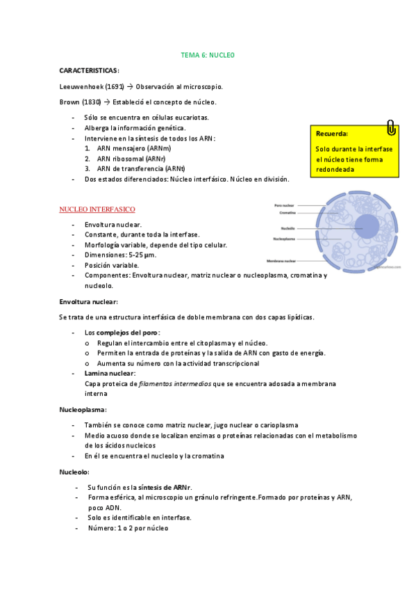 Miniatura del documento TEMA-6-celular.pdf