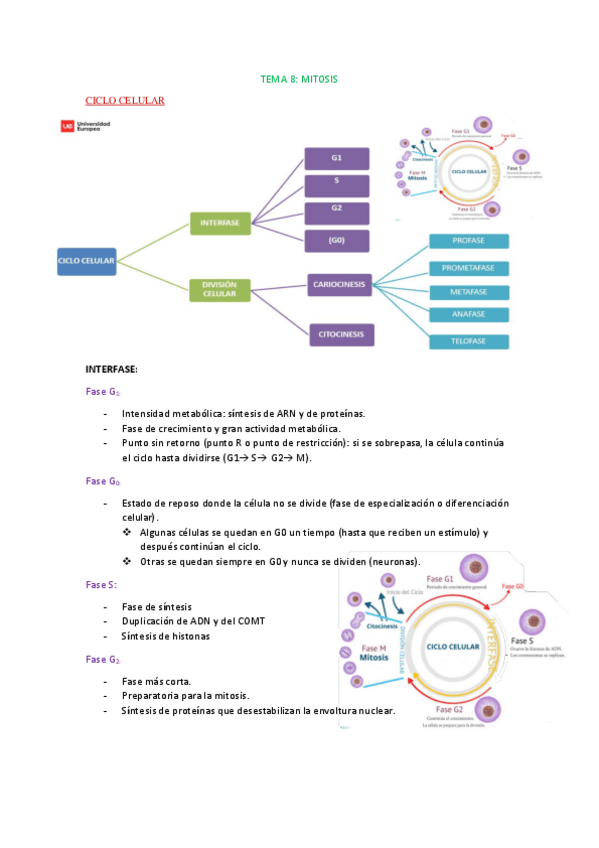 Miniatura del documento Tema-8-celular.pdf