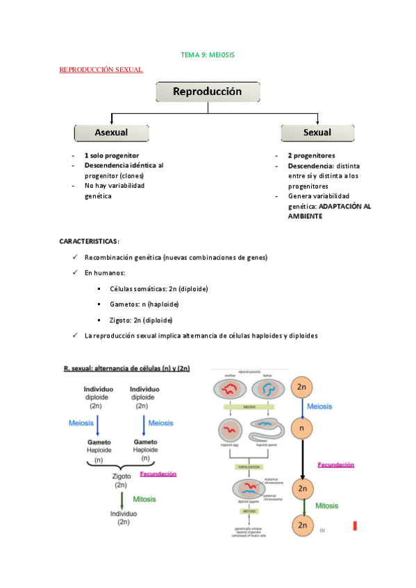 Miniatura del documento Tema-9-celular.pdf