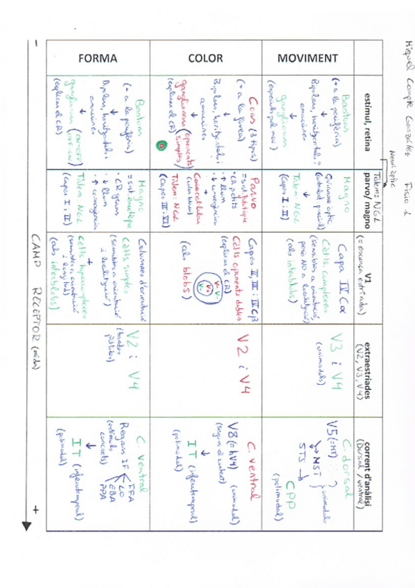Miniatura del documento Esquema resum moviment- color i forma.pdf