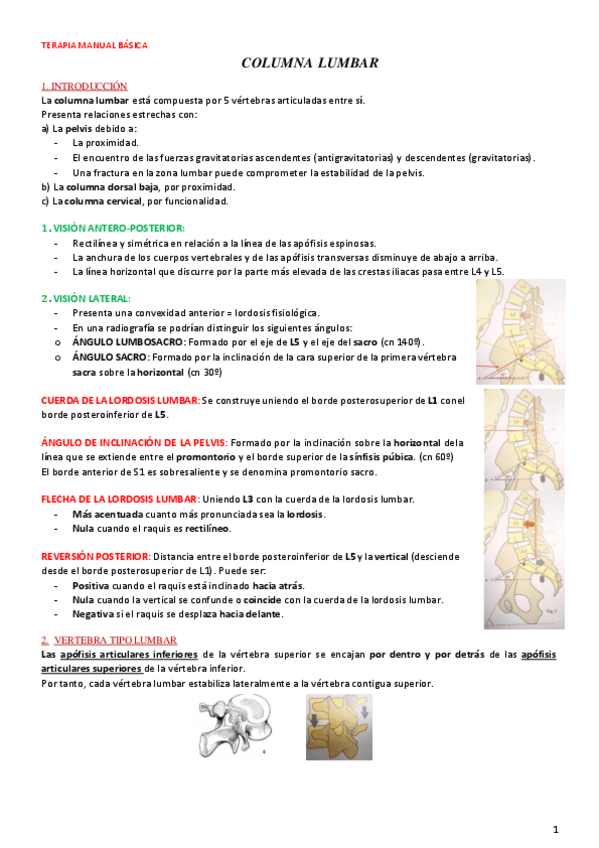 Miniatura del documento Columna-lumbar.pdf