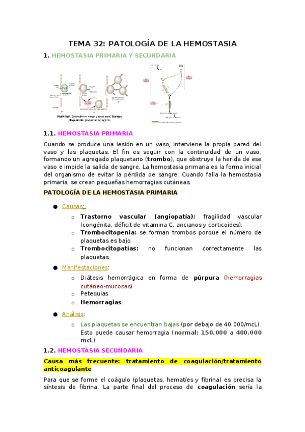 Miniatura del documento TEMA-32.docx